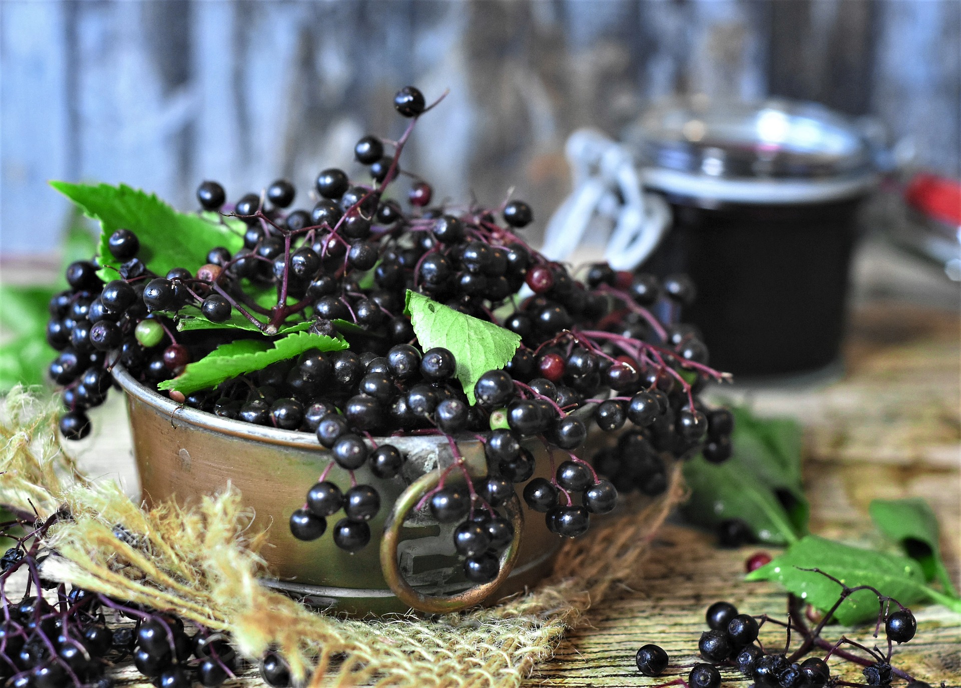 Quick, Easy, and Delicious Elderberry Syrup