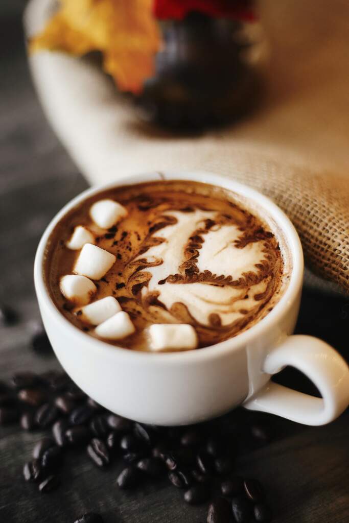 Homemade Bone Broth Hot Chocolate